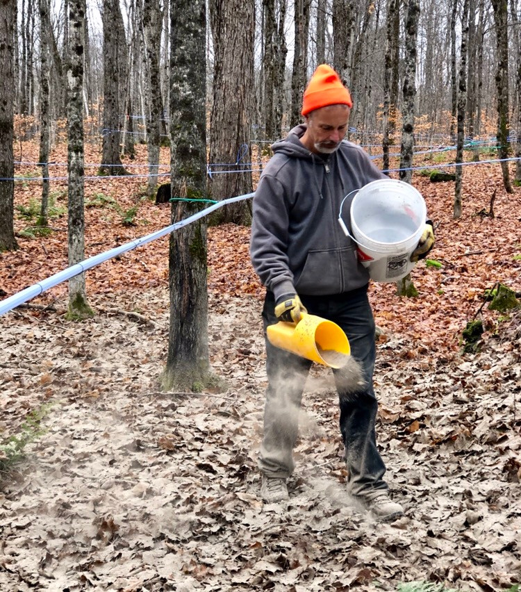 Picture of volunteer scattering wood ash in forest.