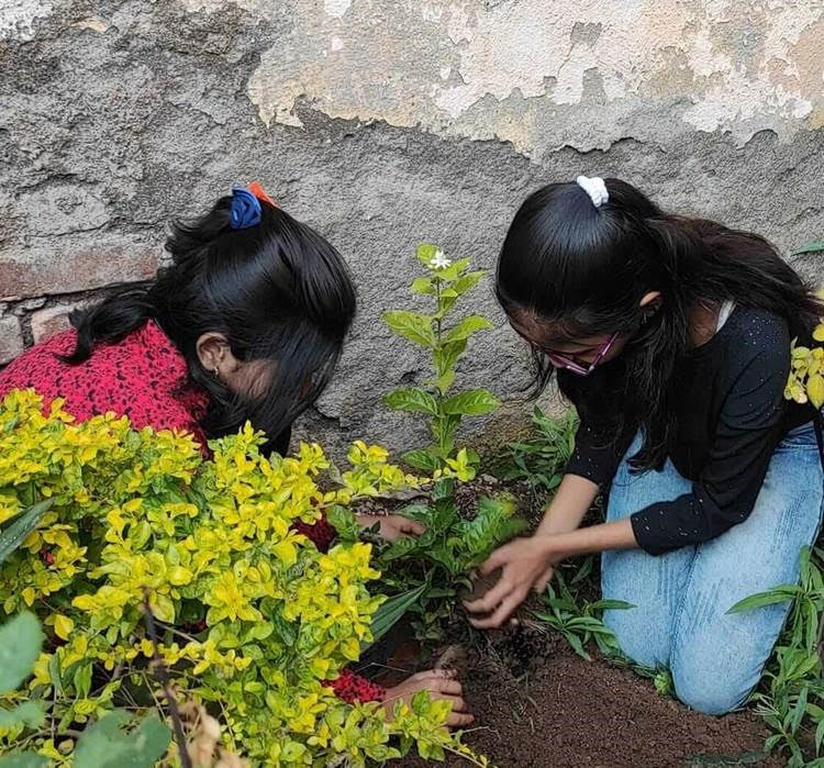 Gargi and a classmate take care of a plant. 